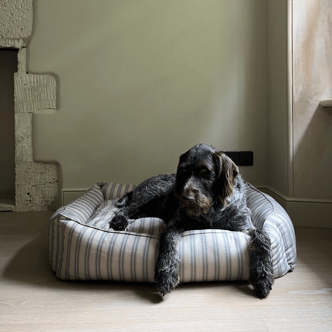 Grey Ticking Stripe Dog Bed with Dog in