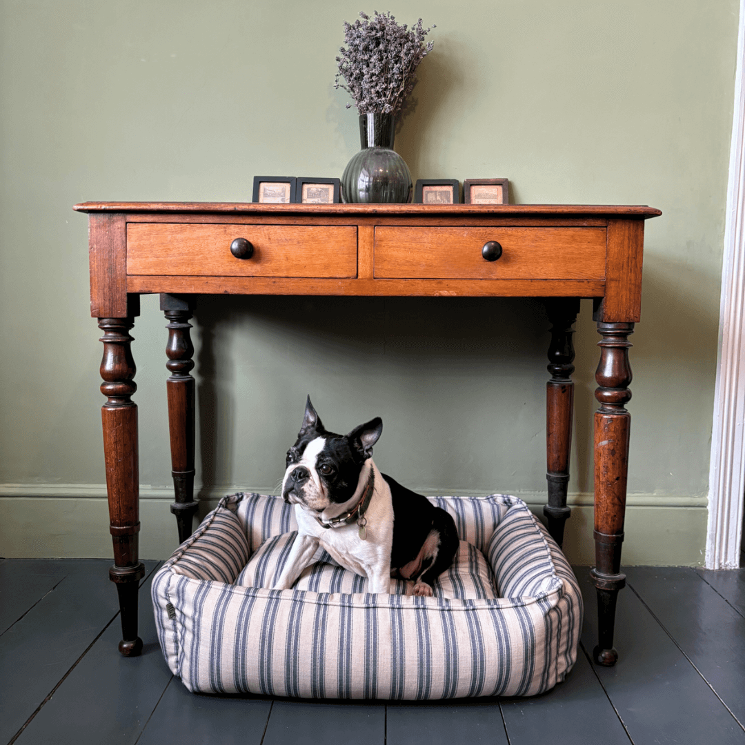 Blue Ticking Stripe Dog Bed with Dog